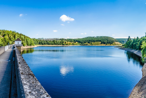 Naturidylle am Stausee